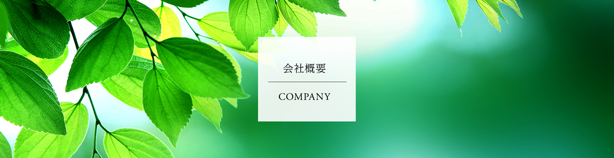 会社概要